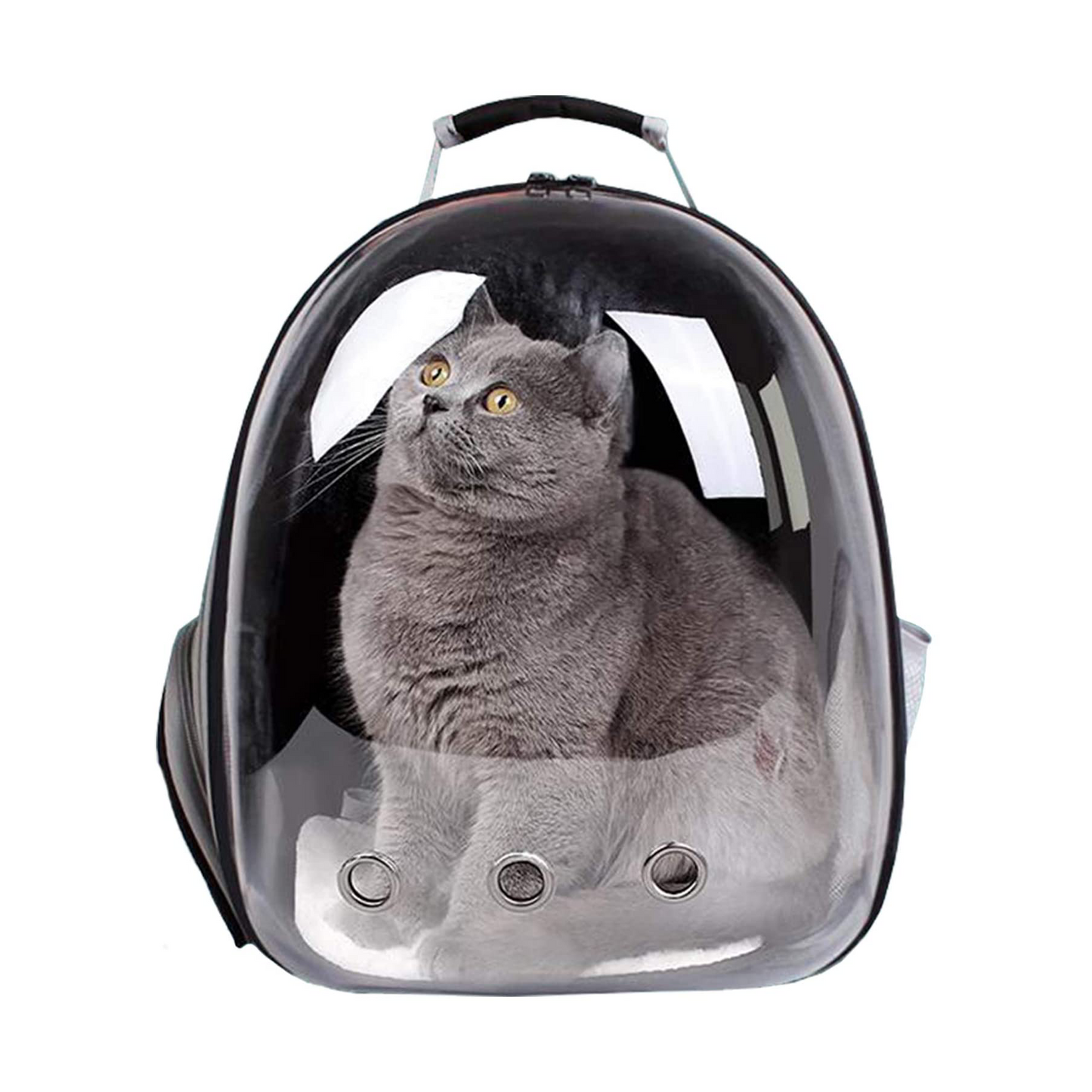 Transparent Pet Backpack Carrier