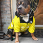 Dog wind and rain coat