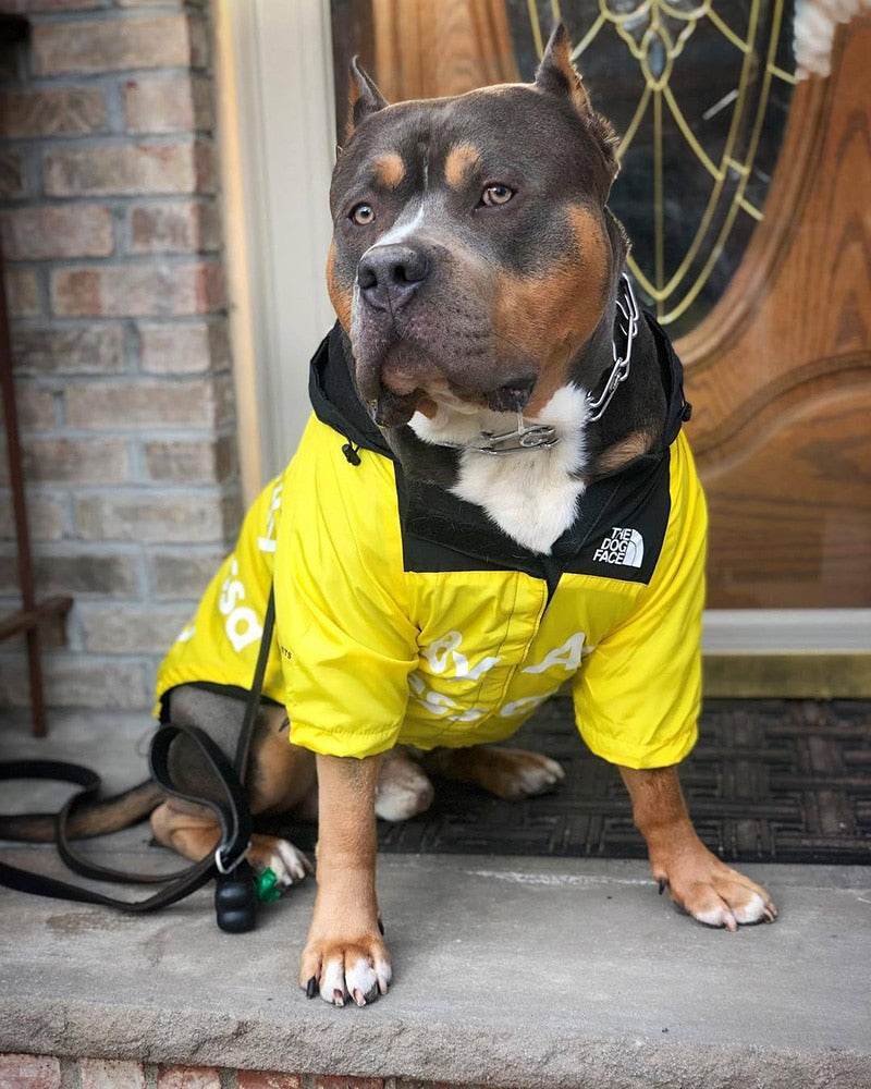 Dog wind and rain coat