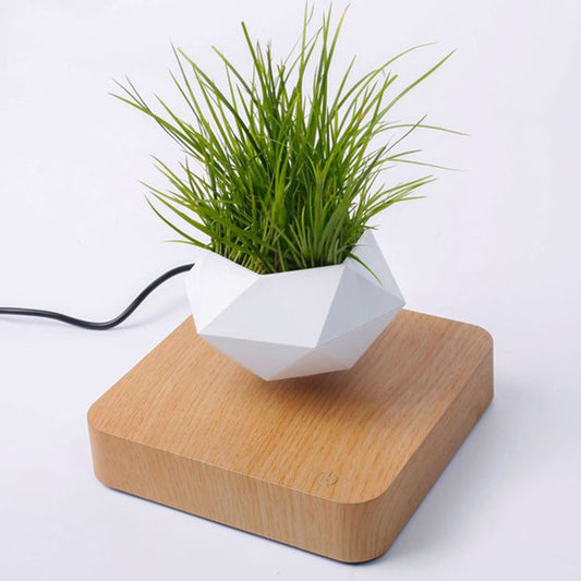 Levitating Air Bonsai Pot