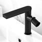 Luxury Bathroom Faucet