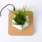Levitating Air Bonsai Pot