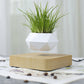 Levitating Air Bonsai Pot