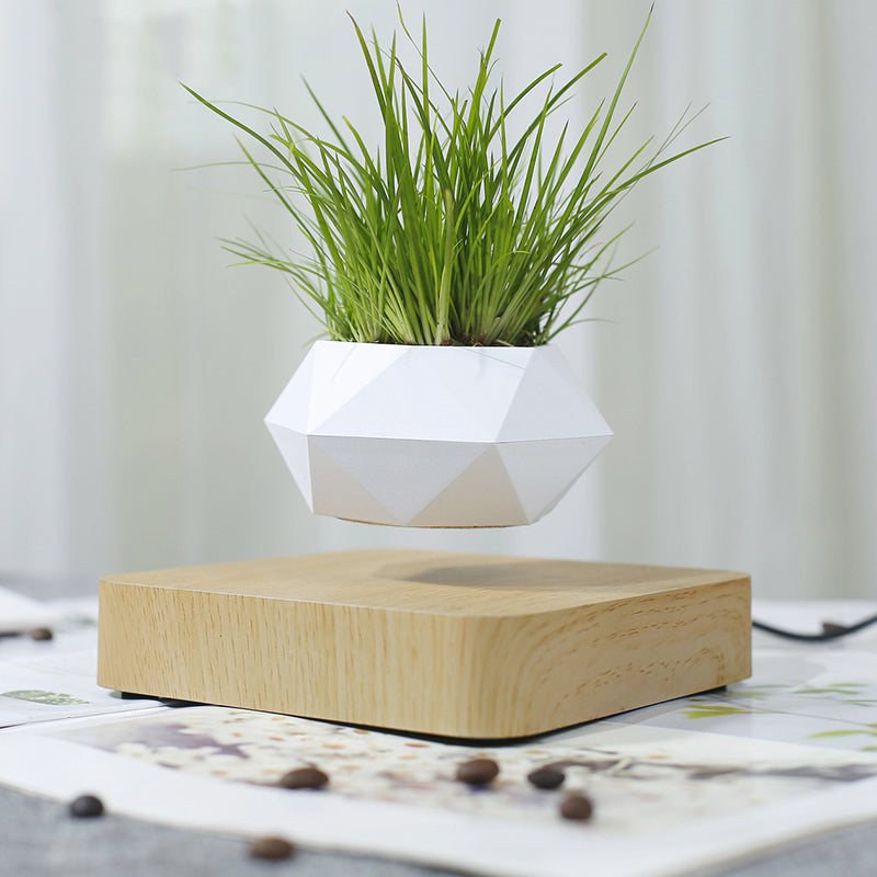 Levitating Air Bonsai Pot