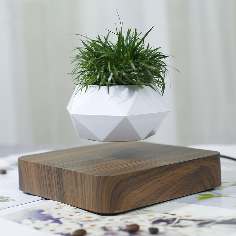 Levitating Air Bonsai Pot