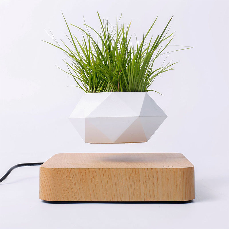 Levitating Air Bonsai Pot