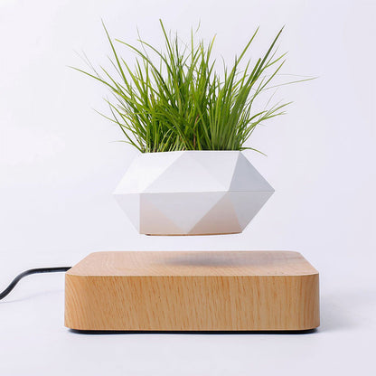Levitating Air Bonsai Pot