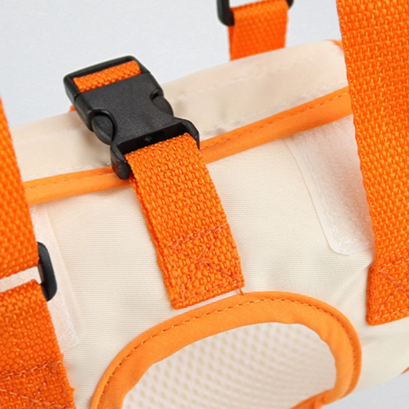 Dog Assist Belt