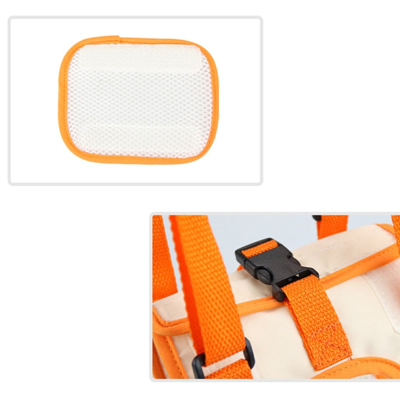 Dog Assist Belt