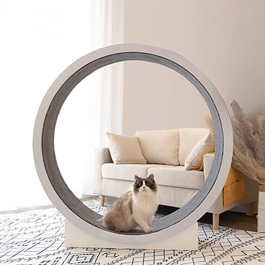 Cat Running Wheel