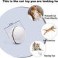 Smart Interactive Pet Ball