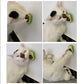 Avocado Catnip Toy