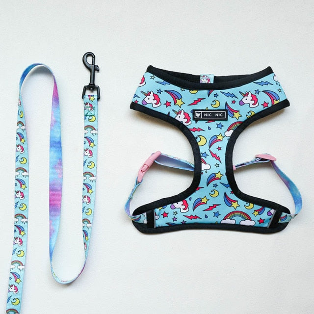 Tropical Harness and Leash