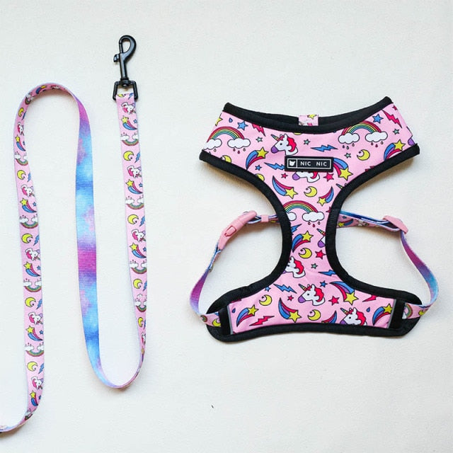 Tropical Harness and Leash