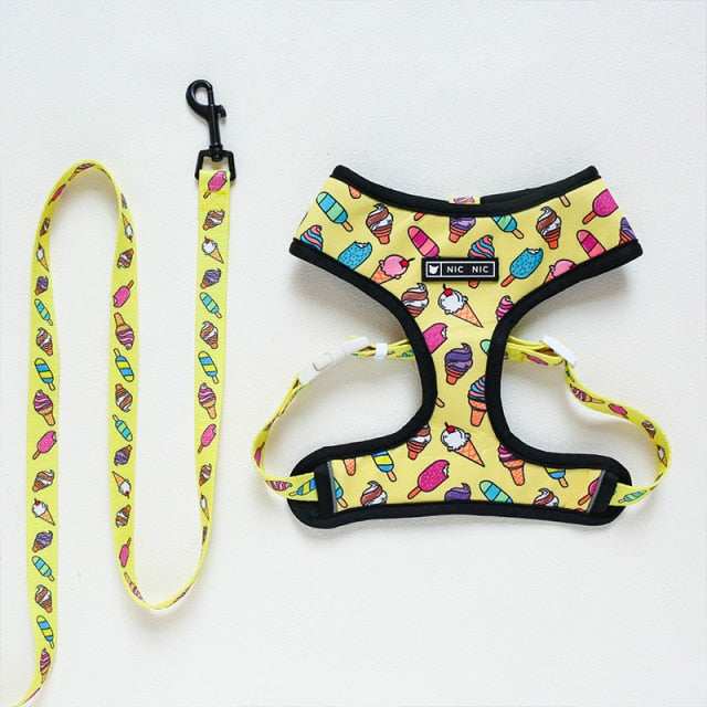 Tropical Harness and Leash