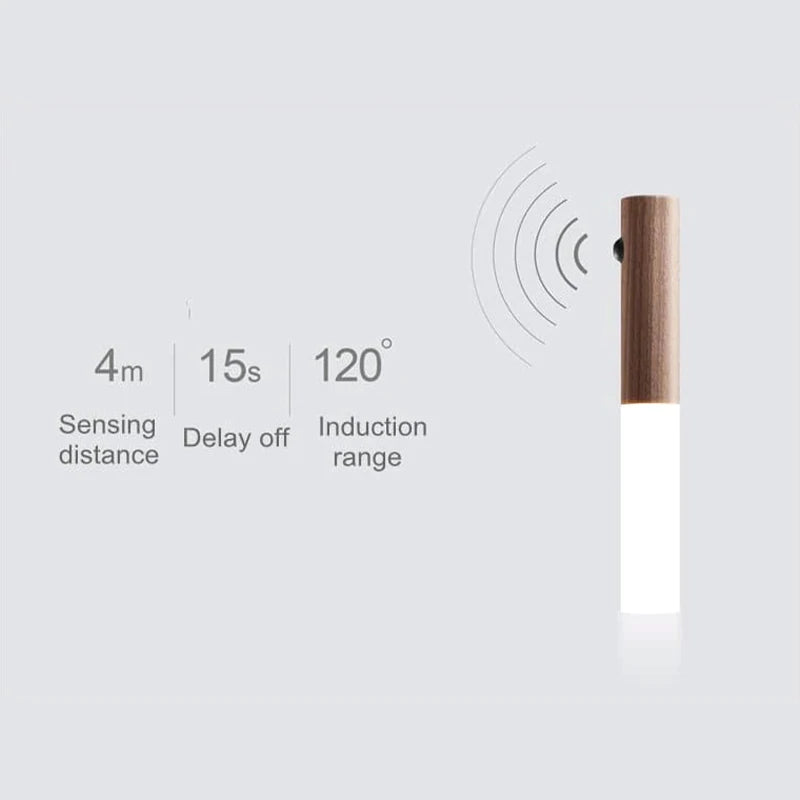 Wall Induction Light