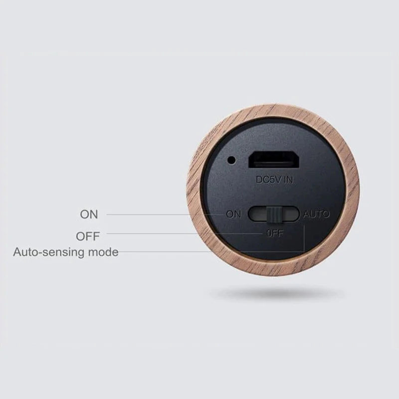 Wall Induction Light