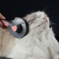 Grooming Comb for Pets