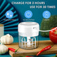 Electric Garlic Mincer Mini Chopper